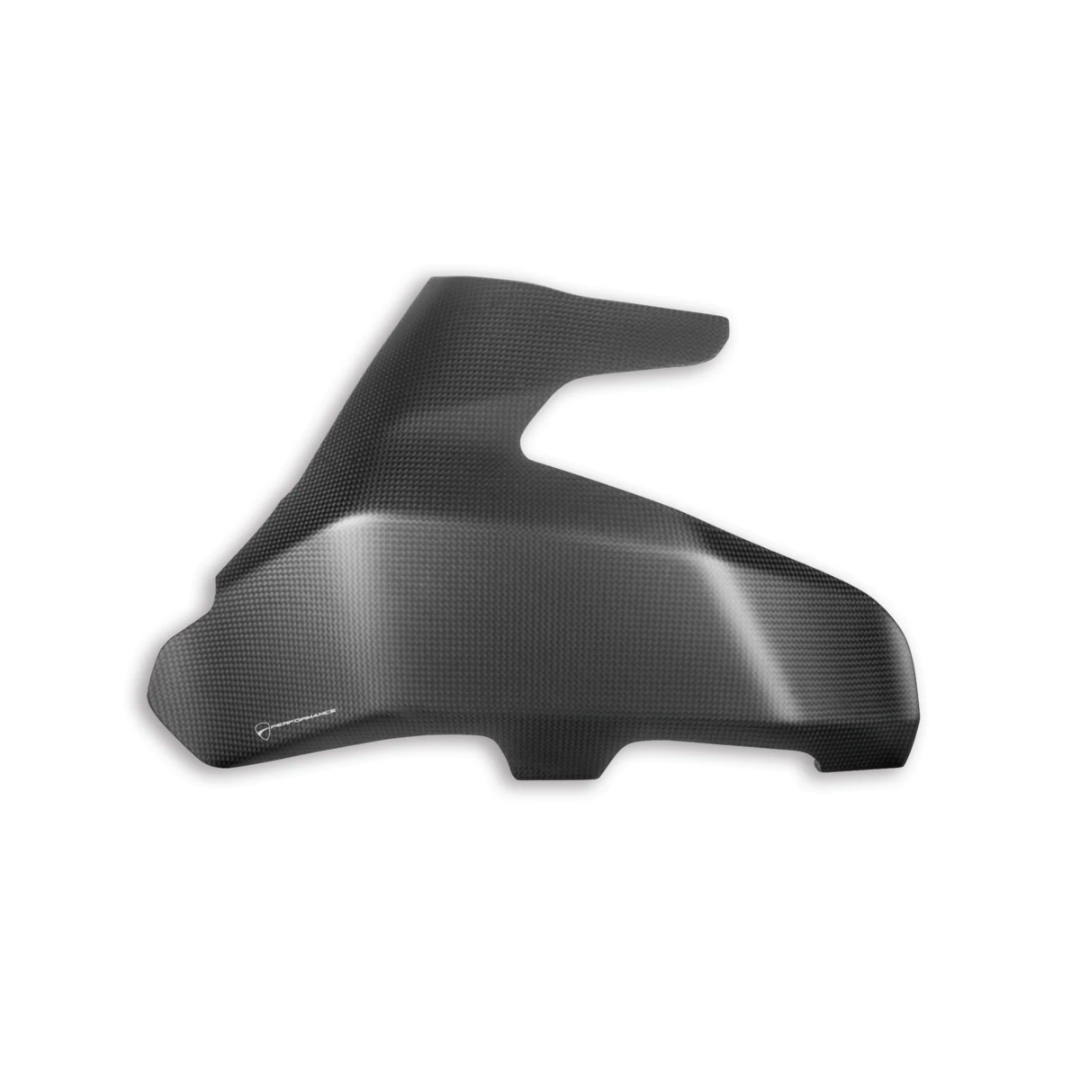 SuperSport Carbon Swingarm Guard