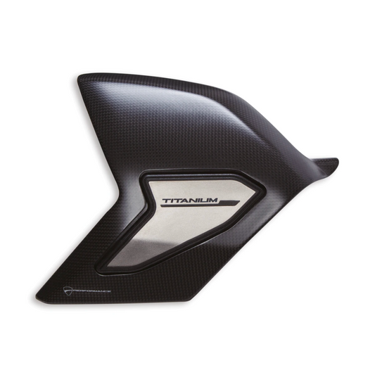 Streetfighter Carbon And Titanium Swinging Arm Cover