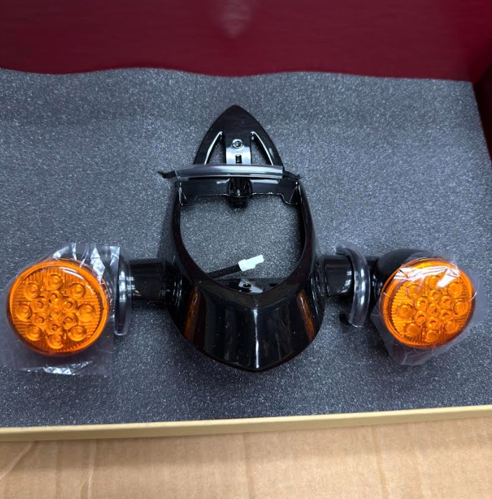 OEM Indian Rear Light Assembly Gloss Black 2880664-266